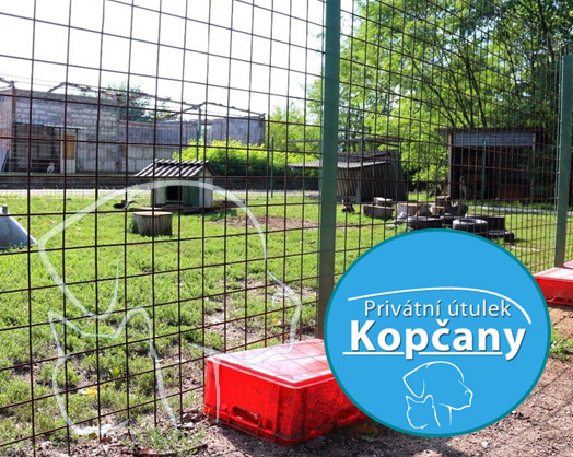 Útulek Kopčany - náš první projekt s mezinárodním přesahem Útulek Kopčany - náš první projekt s mezinárodním přesahem